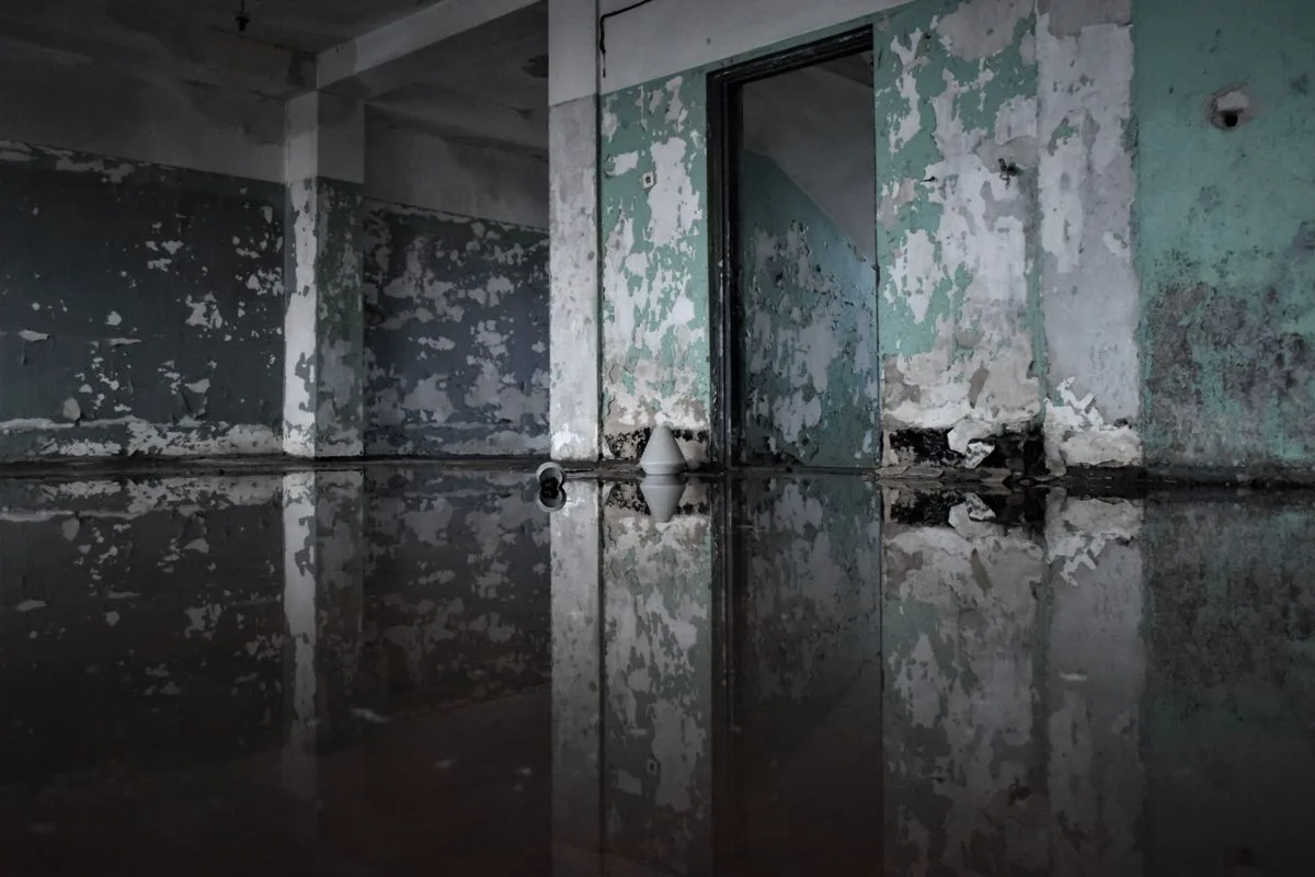 Standing water inside a room with peeling, water-damaged walls