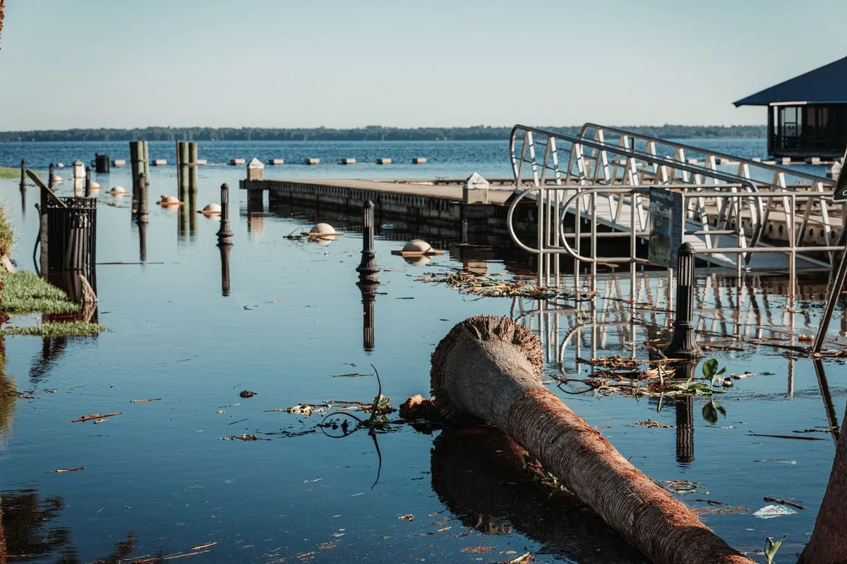 Fallen palm tree and flooded boat dock after a hurricane