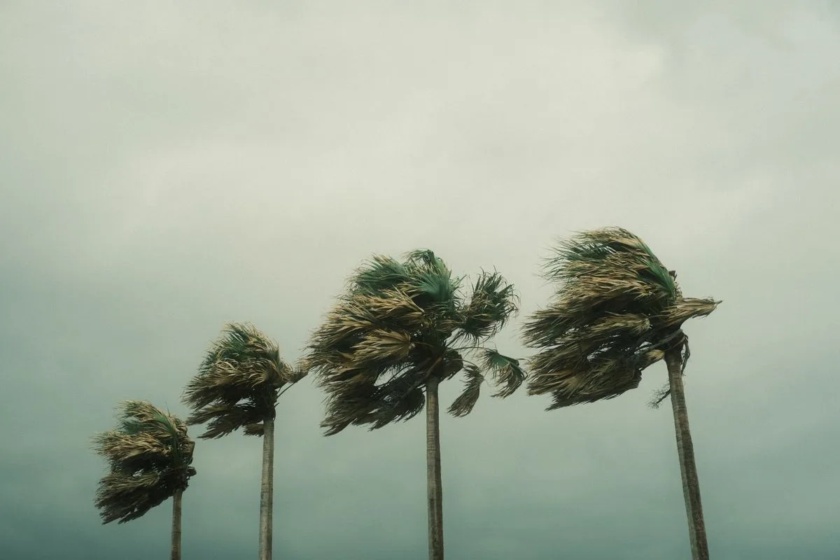 Palm trees bending in strong storm winds under gray skies
