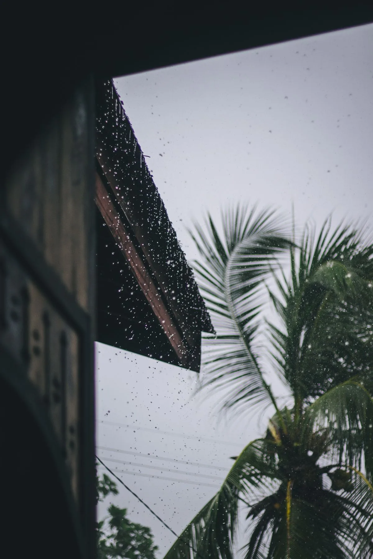 Heavy rain pouring off a roof edge during a tropical storm