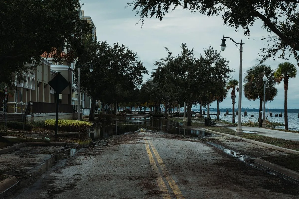 Street flooded with storm water beside the waterfront, lined with palm trees